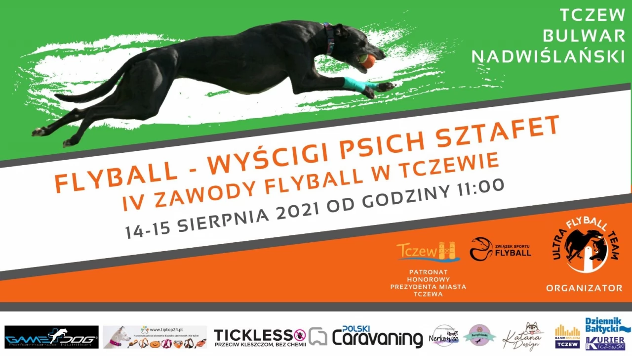 Widowiskowe psie zawody nad Wisłą