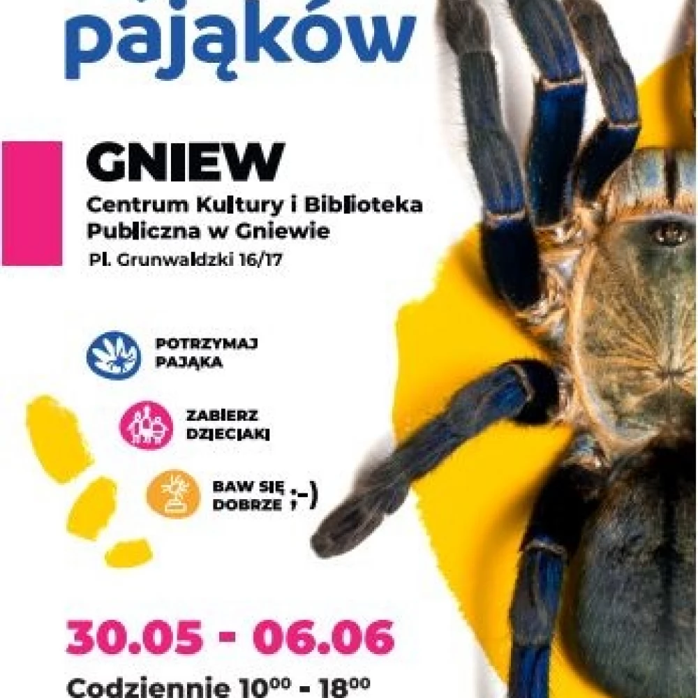 Wielka Wystawa Pająków w Gniewie!