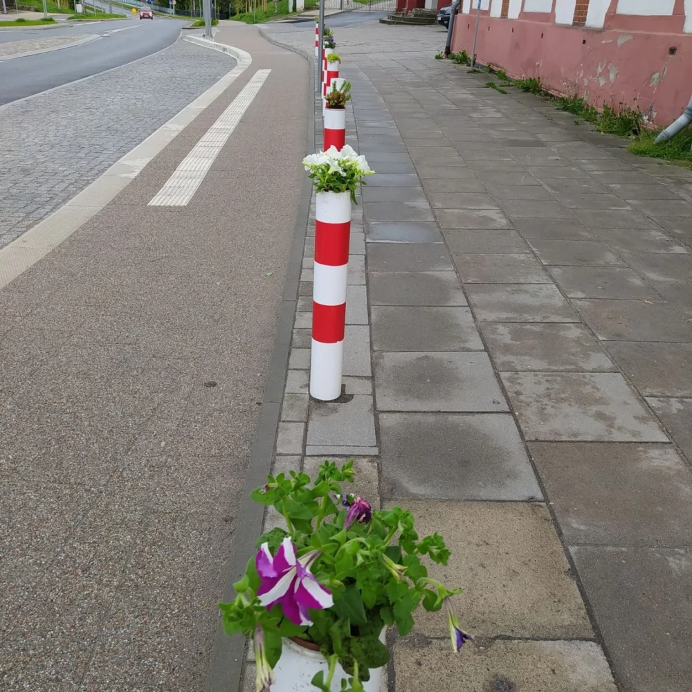 Wrzucali tam odpadki, teraz zakwitły kwiaty