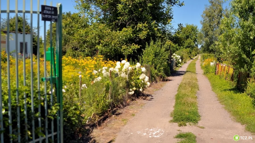 Wsparcie dla działkowców