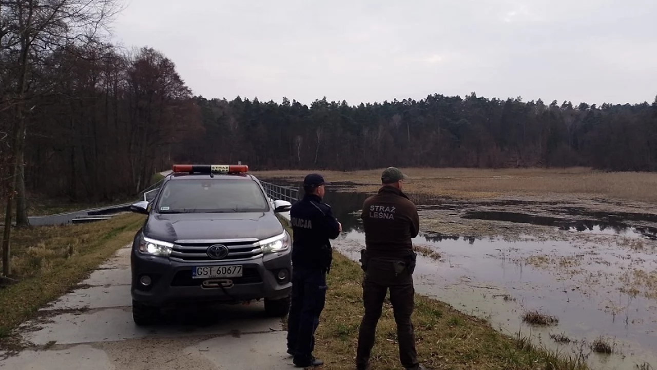 Wspólne działania policjantów i strażników w podtczewskich lasach