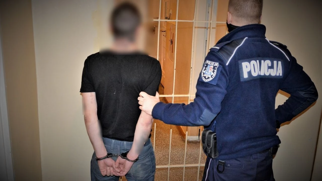 Wszczął awanturę w pociągu, później agresję przeniósł na policjantów