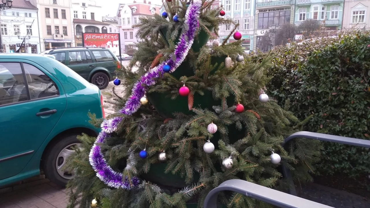 Wszyscy się żalą, ja pochwalę :-)