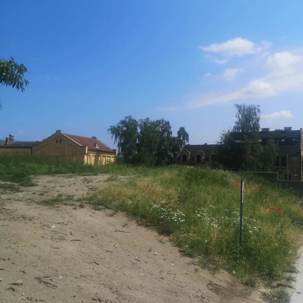Wybieg dla psów na ul. Podgórnej?