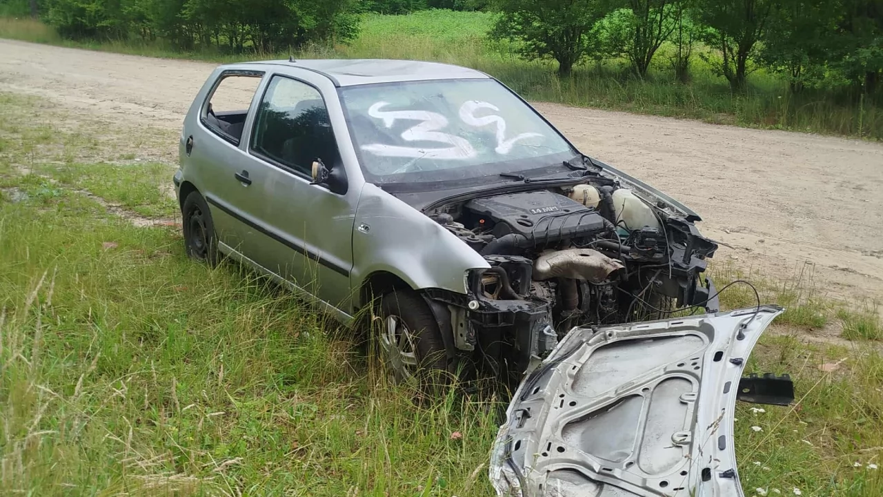 Wybrałem się na grzyby i znalazłem taki okaz