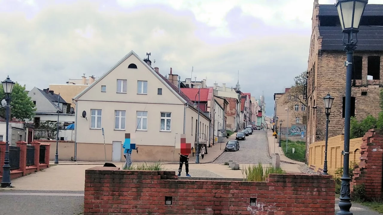 Wyłapali ryby z miejskiej sadzawki