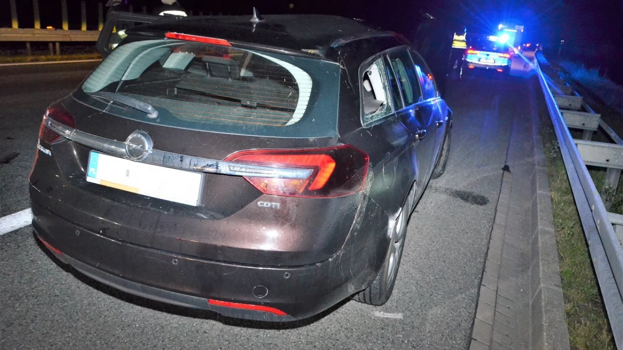 Wypadek na A1. Dwa auta zderzyły się z łosiem