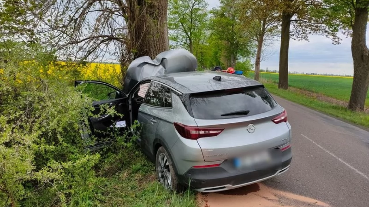 Wyprzedzał na łuku, skończyło się na drzewie. Tczewianin miał prawie 2 promile