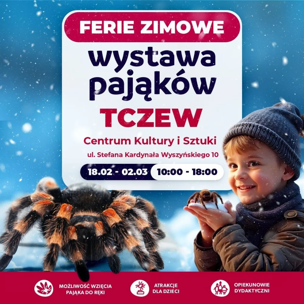 Wystawa pająków i skorpionów