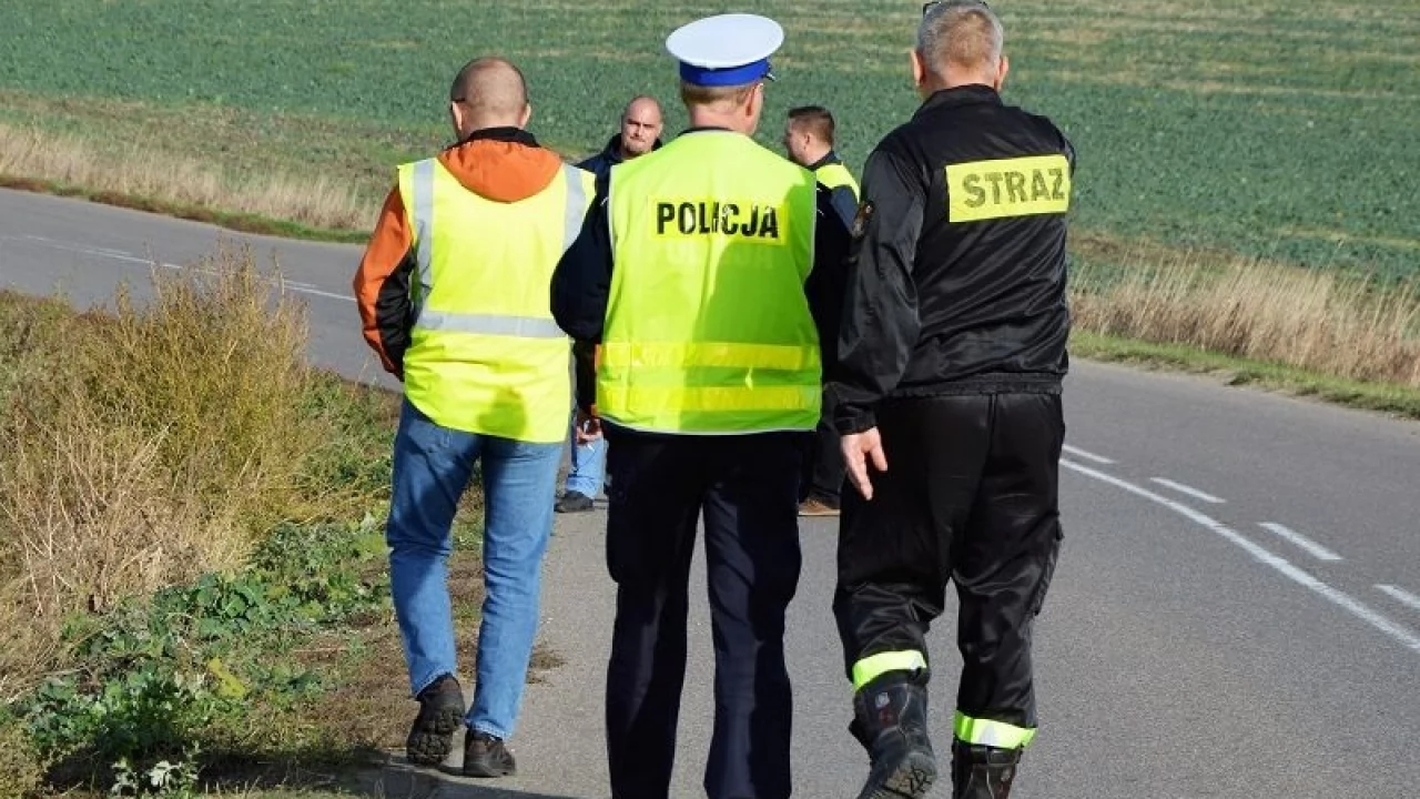 Wytną drzewo, po zderzeniu z którym zginęły matka i córka