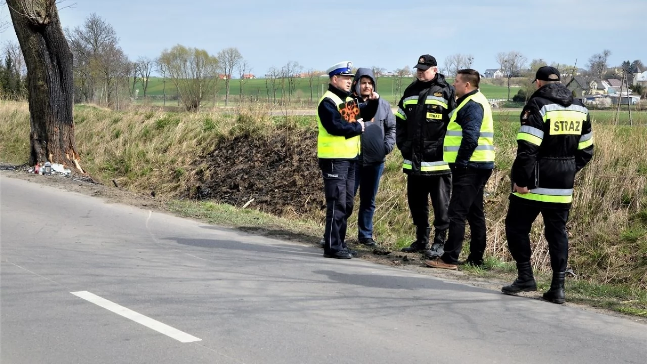 Wytną drzewo w miejscu śmiertelnego wypadku