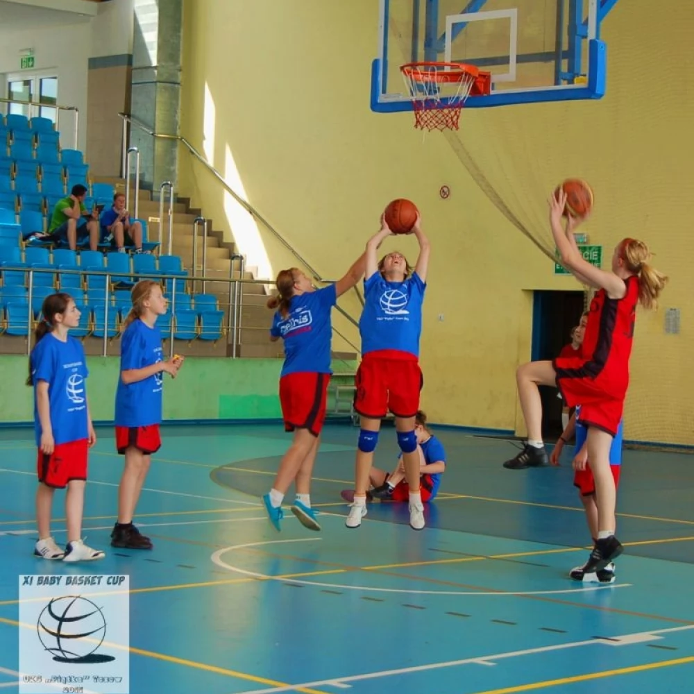 XI Baby Basket Celbis Cup