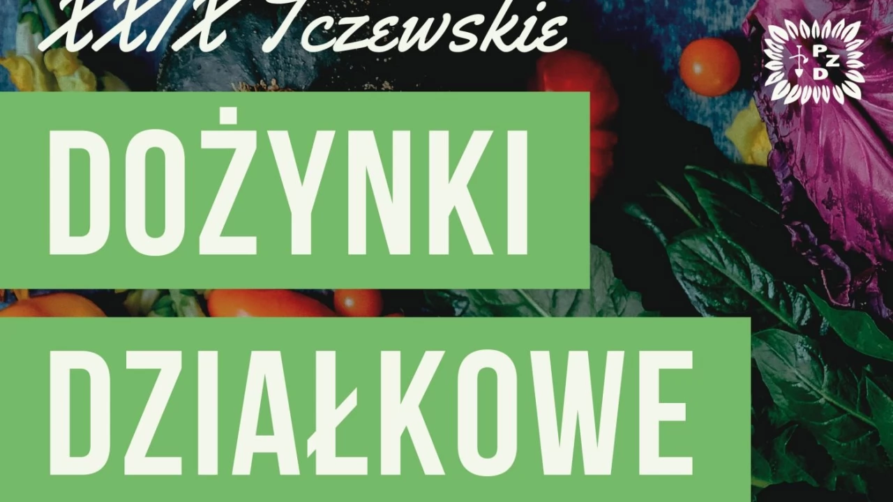 XXIX Dożynki Działkowe nad Wisłą