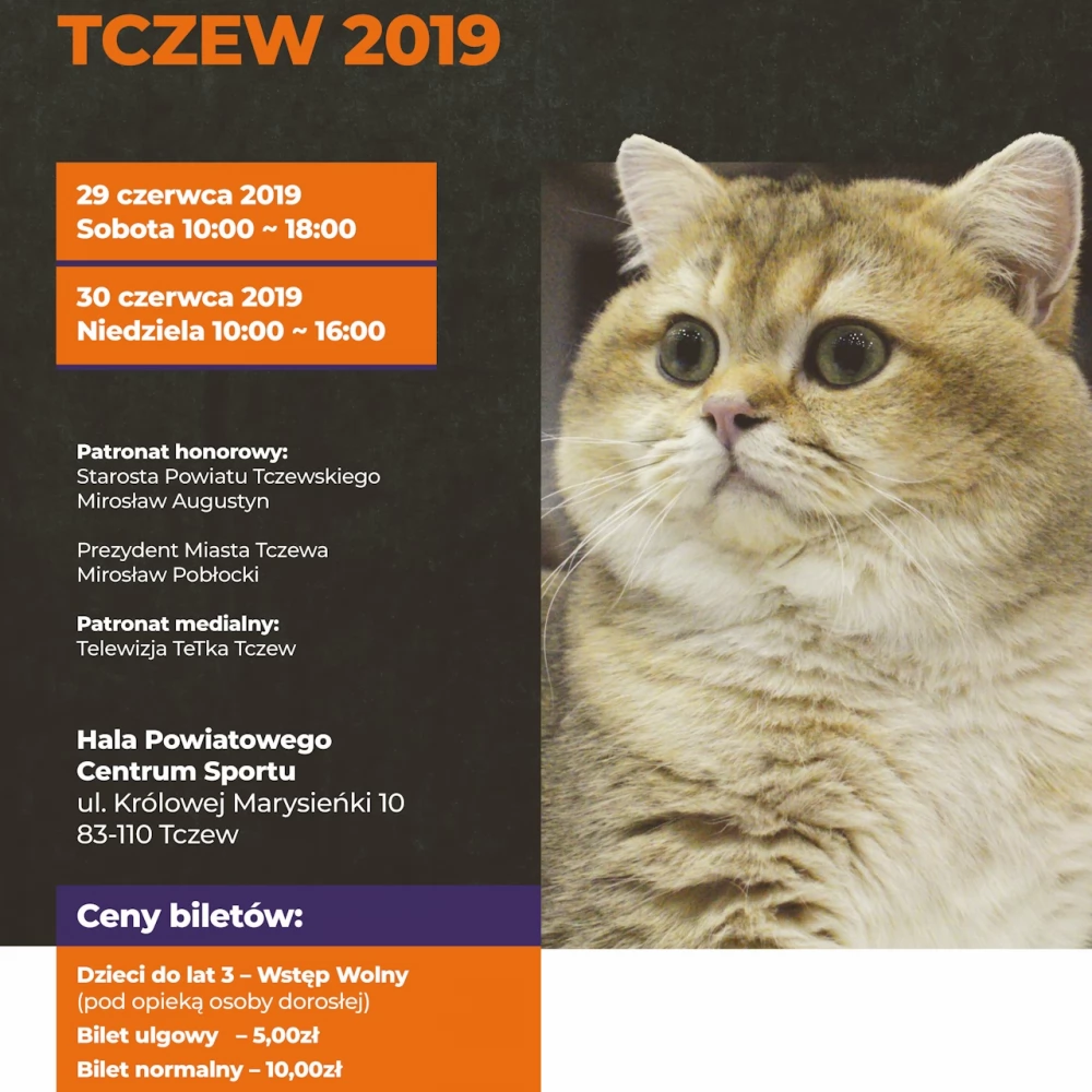 XXIX i XXX międzynarodowa wystawa kotów rasowych