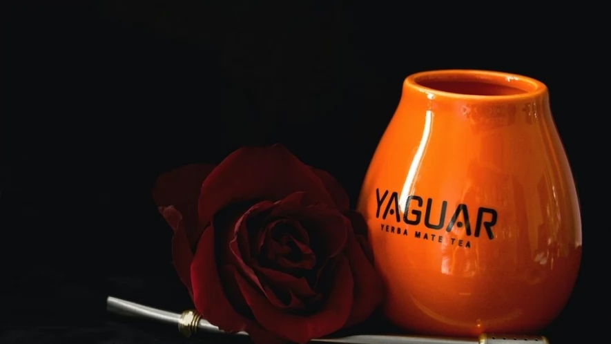 Yerba mate - naturalna alternatywa kawy?