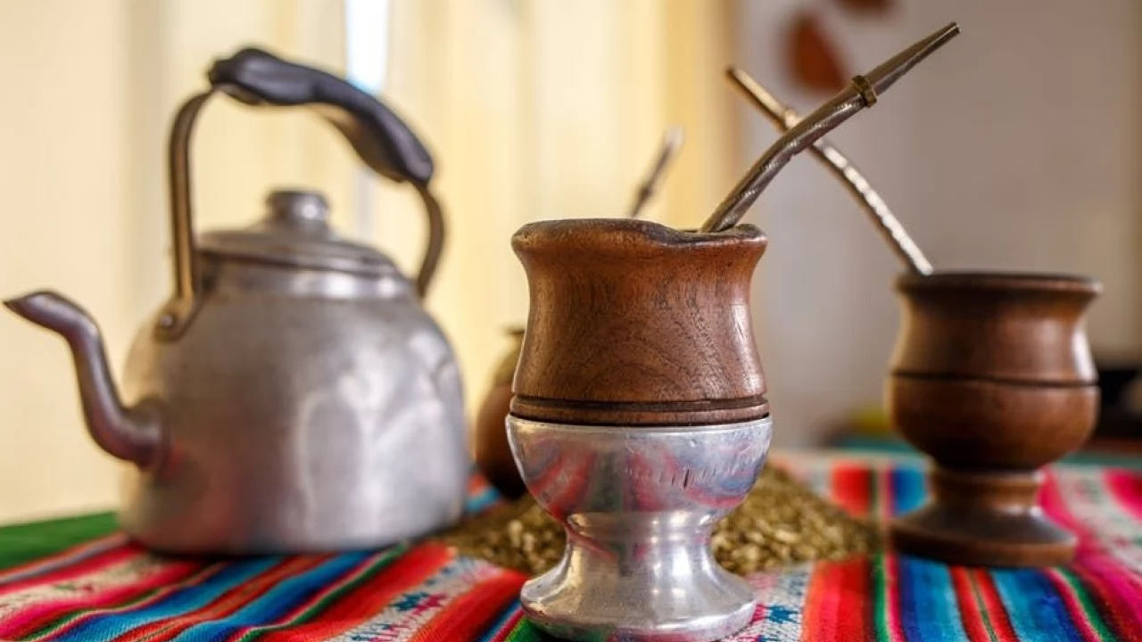Yerba mate - wszystko co musisz wiedzieć