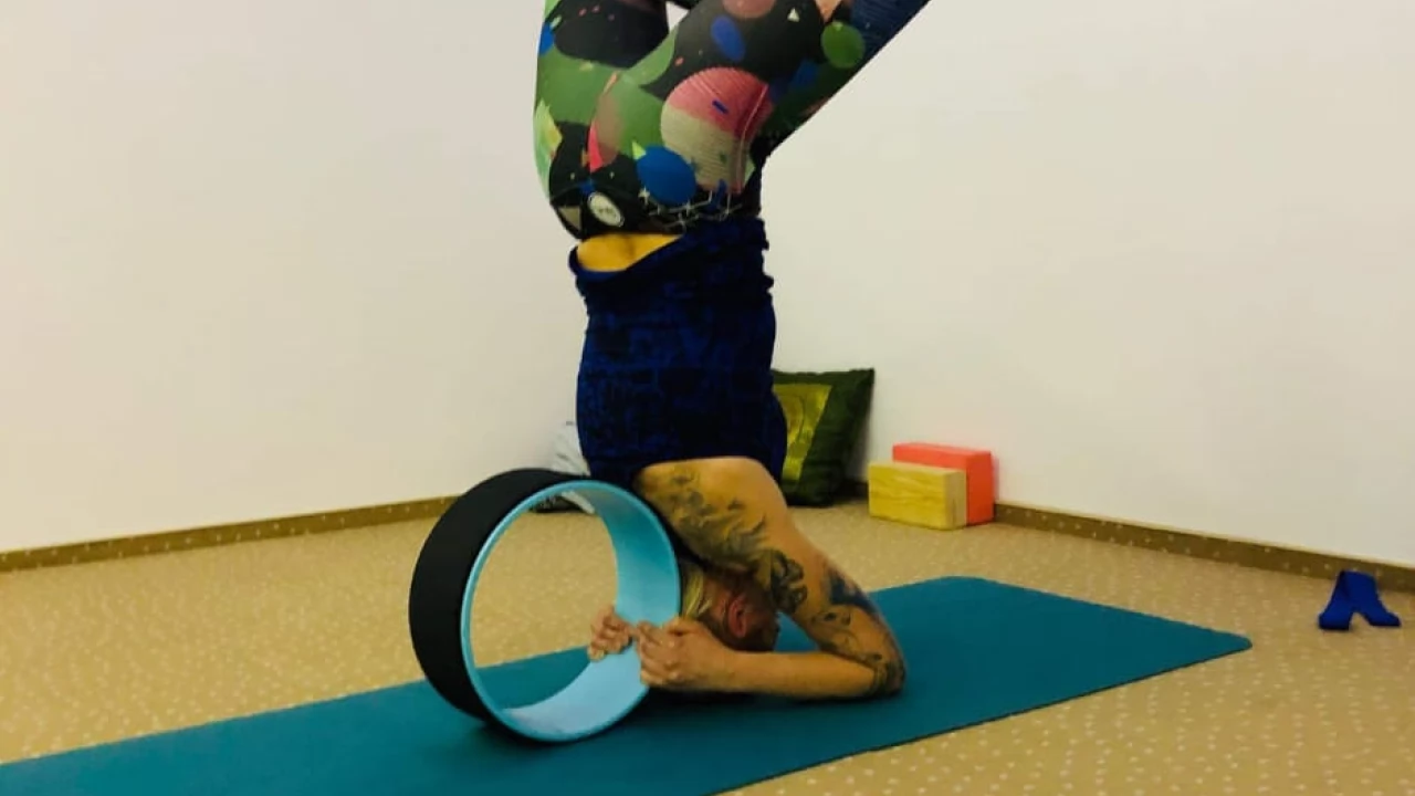 Yoga w Rokitkipark
