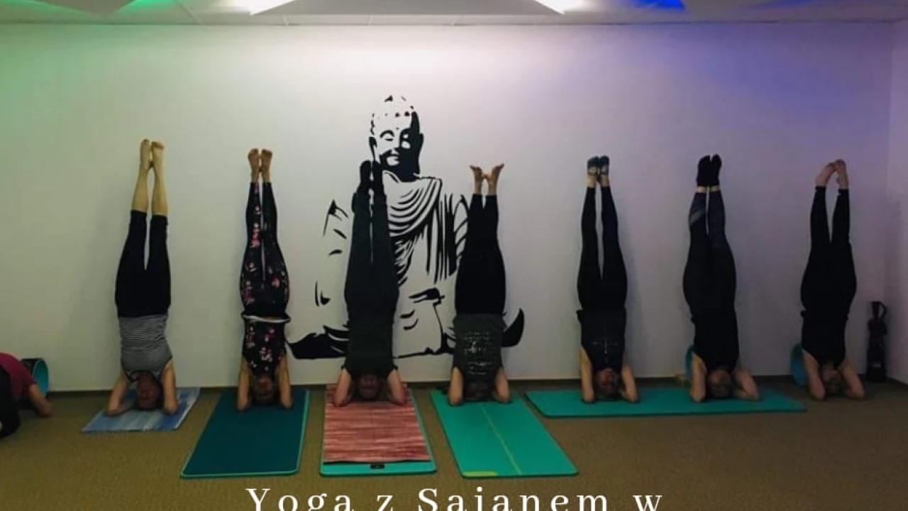 Yoga w RokitkiPark