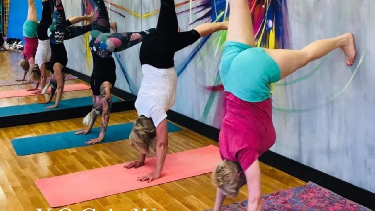 Yoga w Rokitkipark