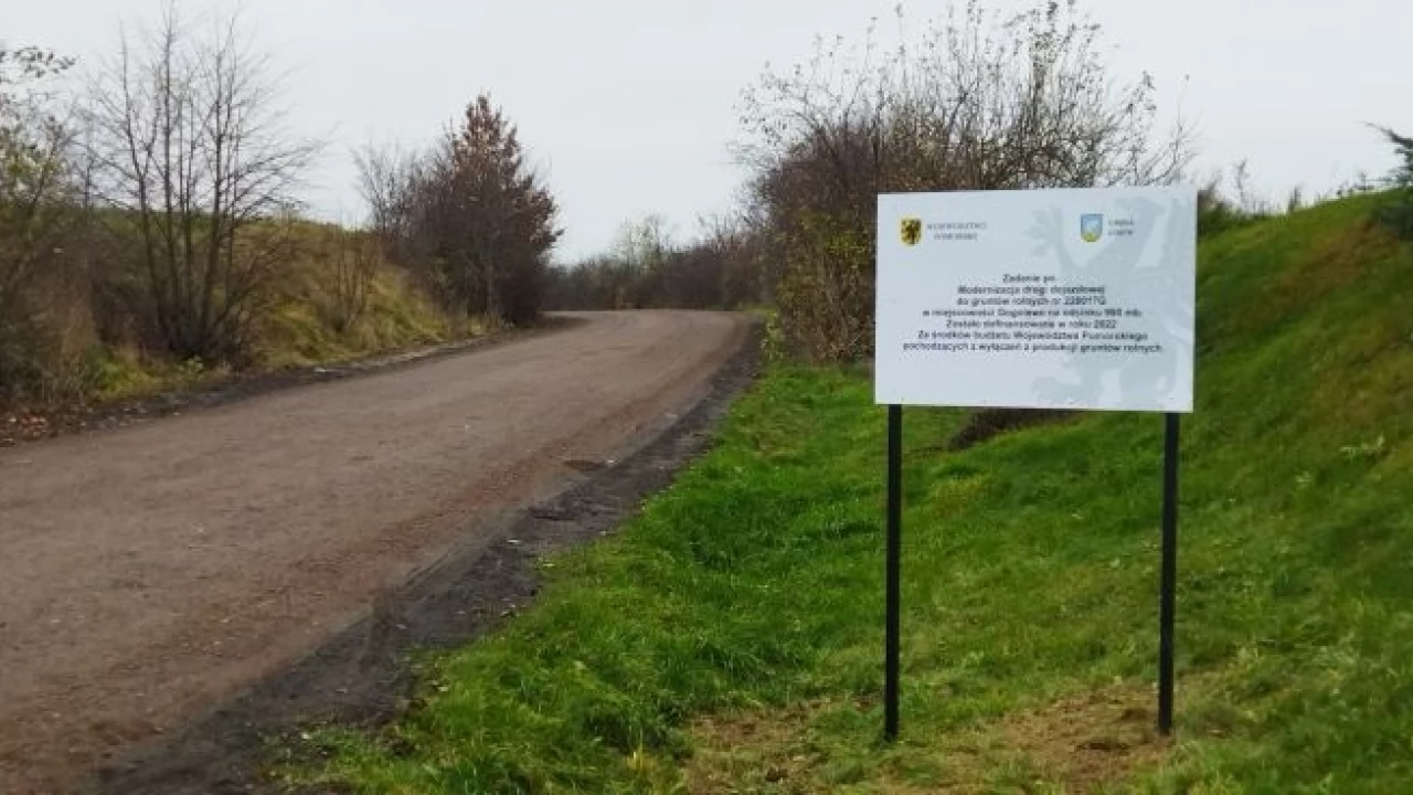 Z Gogolewa do miejscowości Królów Las jedziemy nową drogą