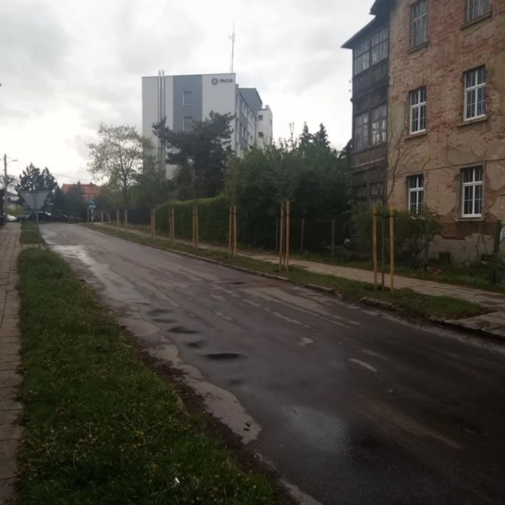 Z Kasprowicza zniknęły głogi
