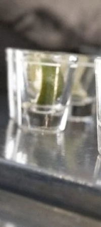 Jeśli przesadzimy z alkoholem, możemy obudzić się w... Elblągu