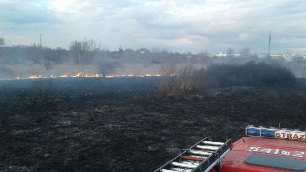 Zaczyna się sezon wypalania traw. To zabronione!