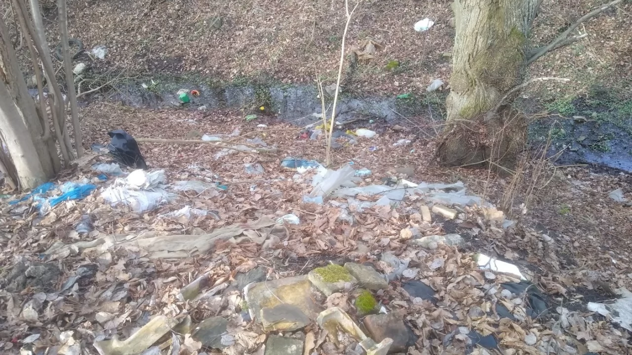 Zamieniają lasy w wysypiska, choć odpady można oddać za darmo