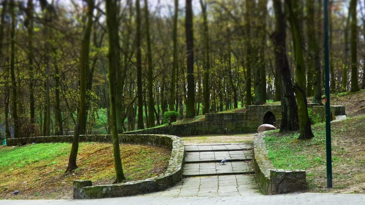 Zaniedbany Tczewski Park