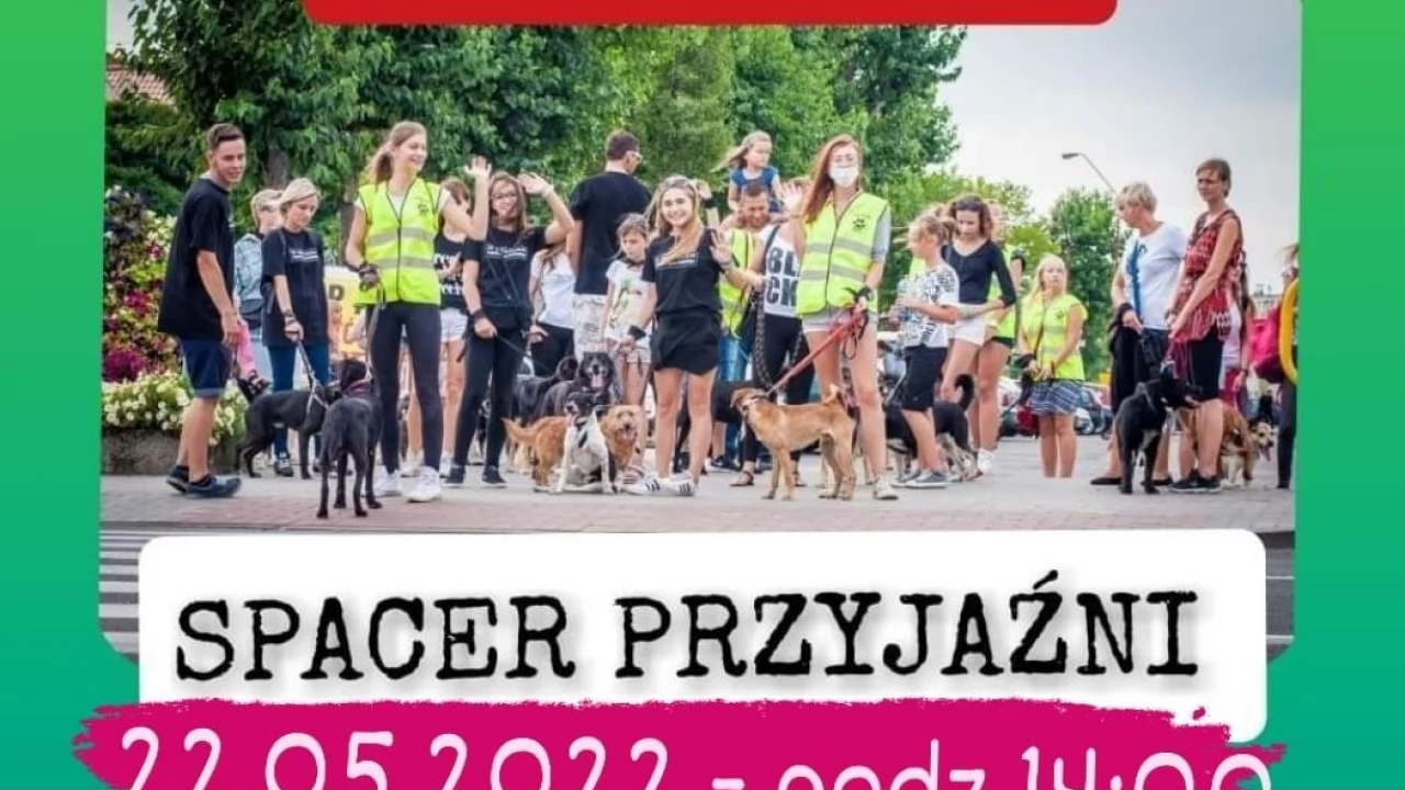 Zapraszają na spacer przyjaźni