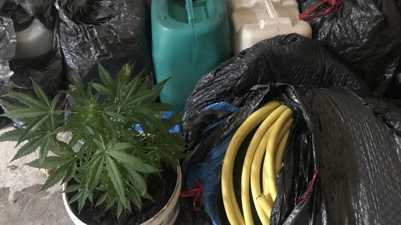 Zatrzymani za kradzież 700 litrów paliwa. Znalazła się też marihuana