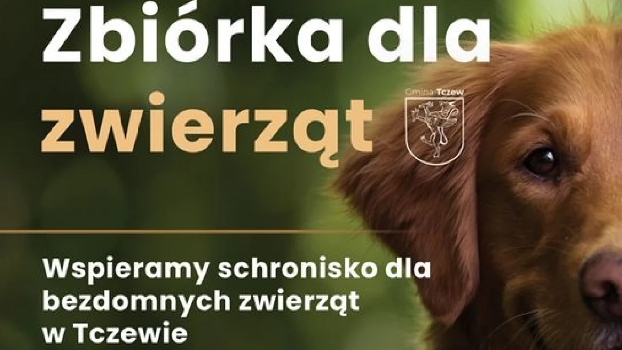 Zbiórka w Rokitkach dla schroniska
