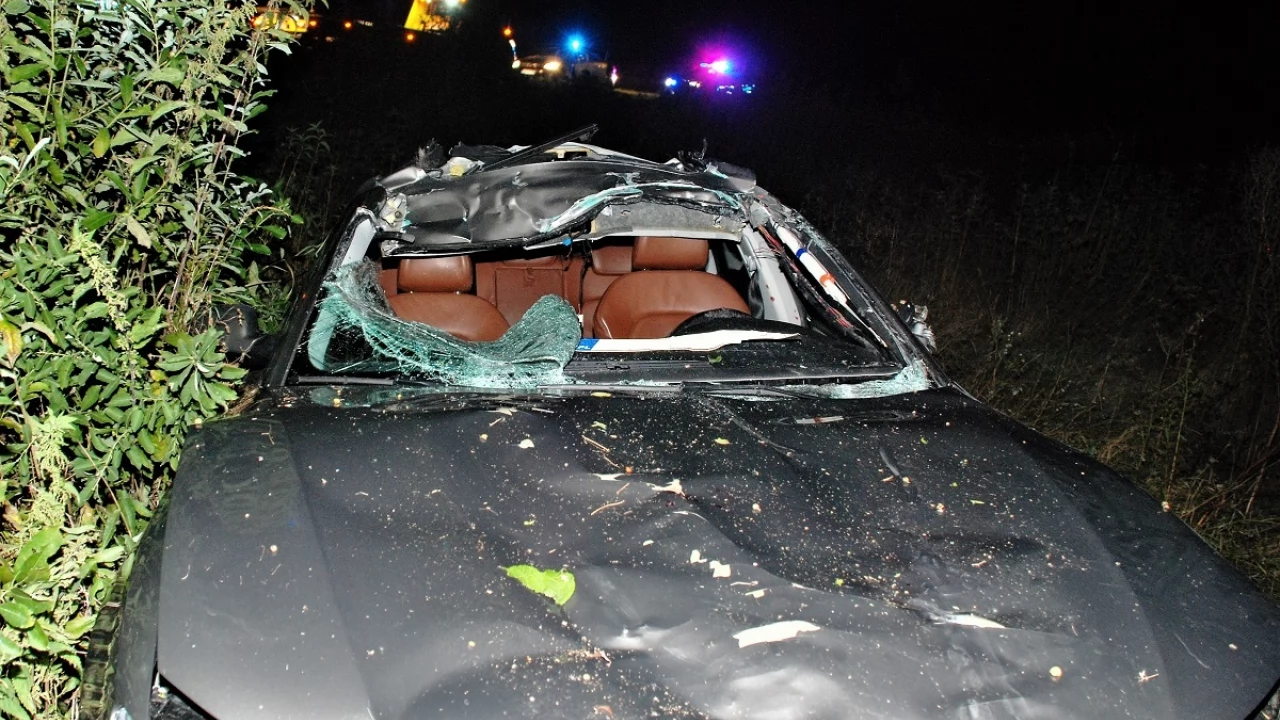 Zderzenie audi z łosiem. To już 41 zdarzenie drogowe z udziałem dzikich zwierząt
