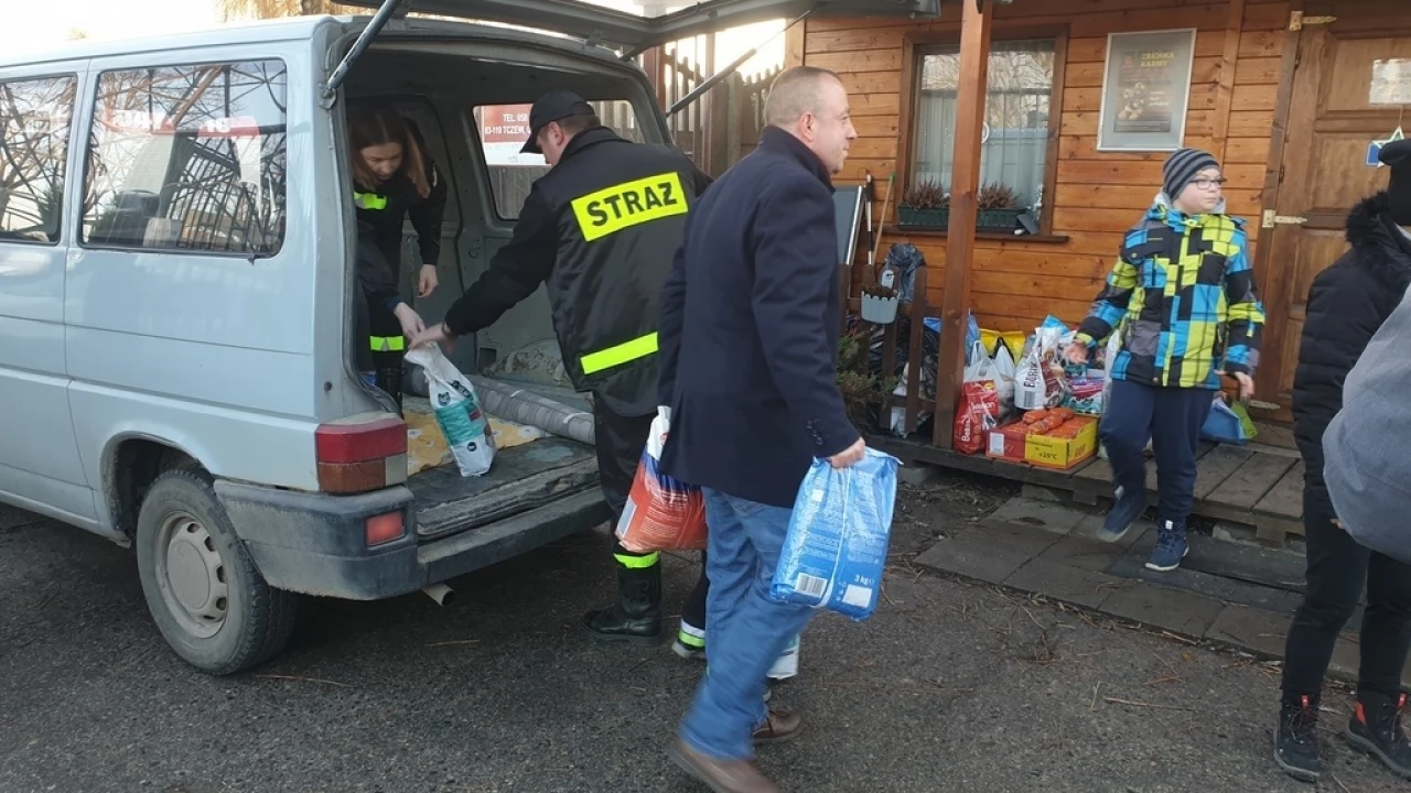 Zebrali 300 kg karmy dla schroniska