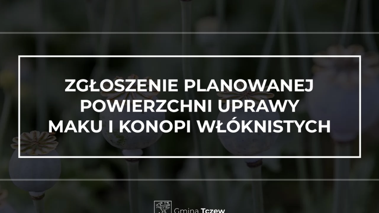 Zgłoszenie planowanej powierzchni uprawy maku i konopi włóknistych w 2021 r.