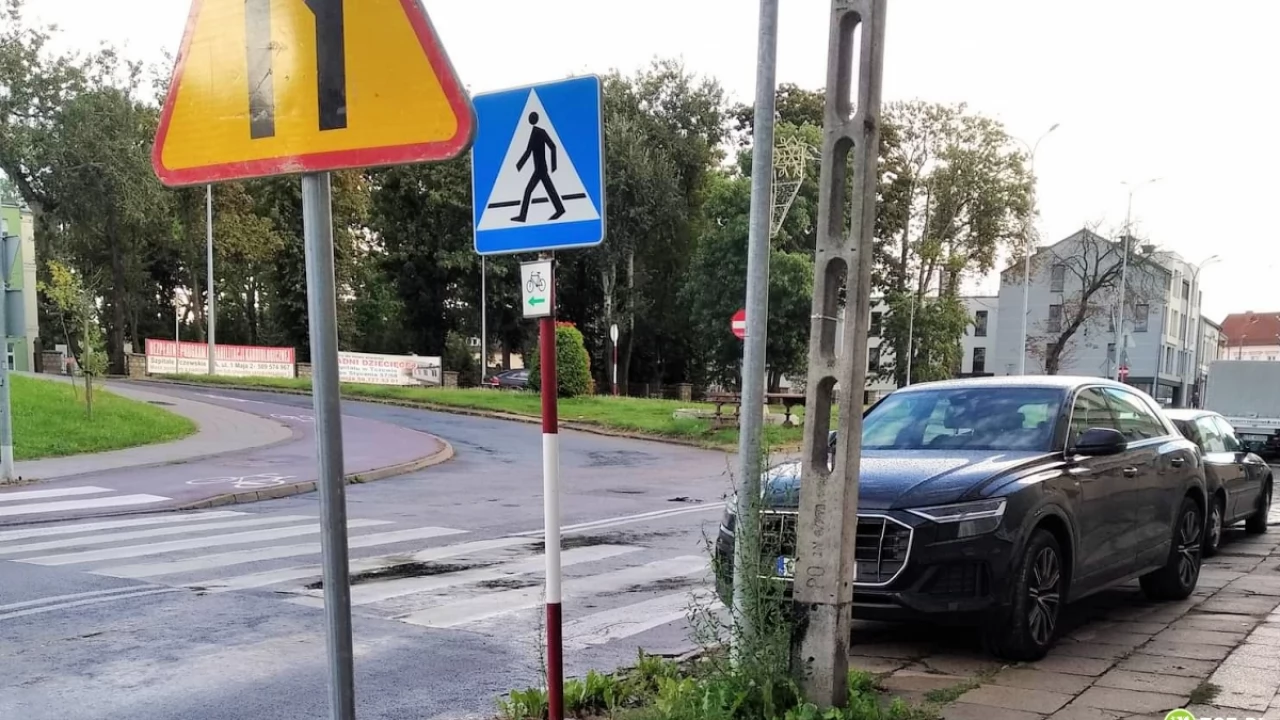 Złoto dla tego mistrza parkowania