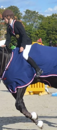 Zawody jeździeckie