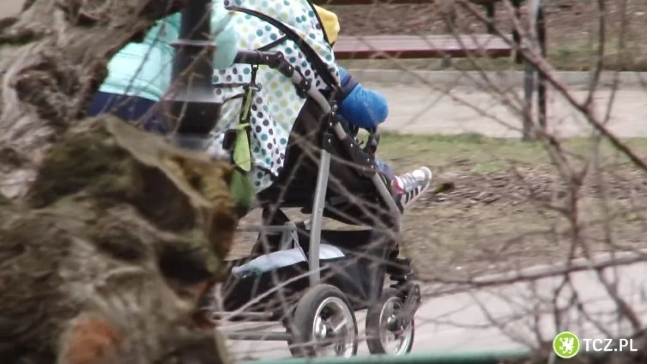 ZUS wkrótce będzie przyjmował wnioski o 500 plus na nowy okres