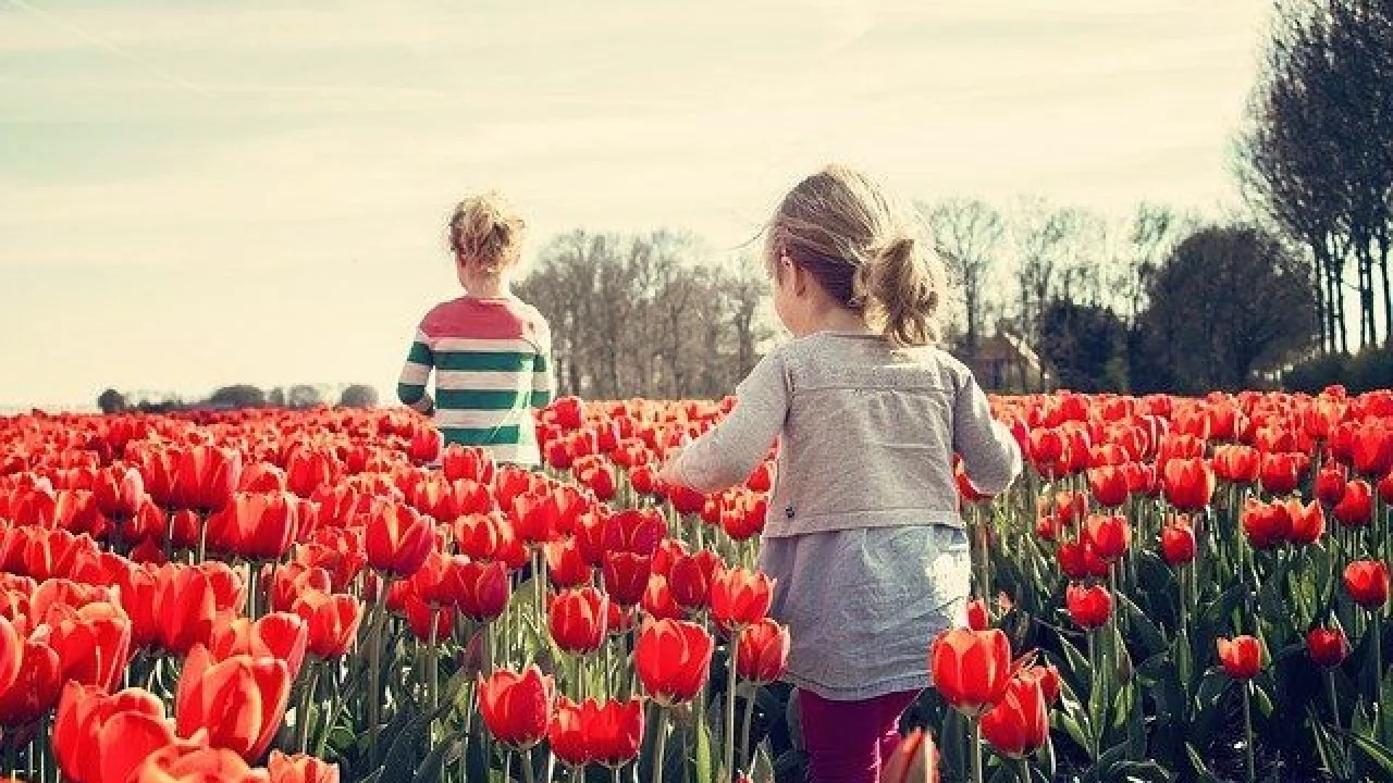 Zwrot podatku za pracę zagranicą - kiedy jest należny?