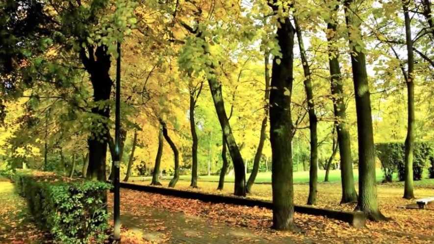 Piękno jesieni - Miejski park w Tczewie