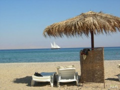 Długi weekend listopada: Polacy wybierają południe Europy, jeden kraj dominuje - Aktualności