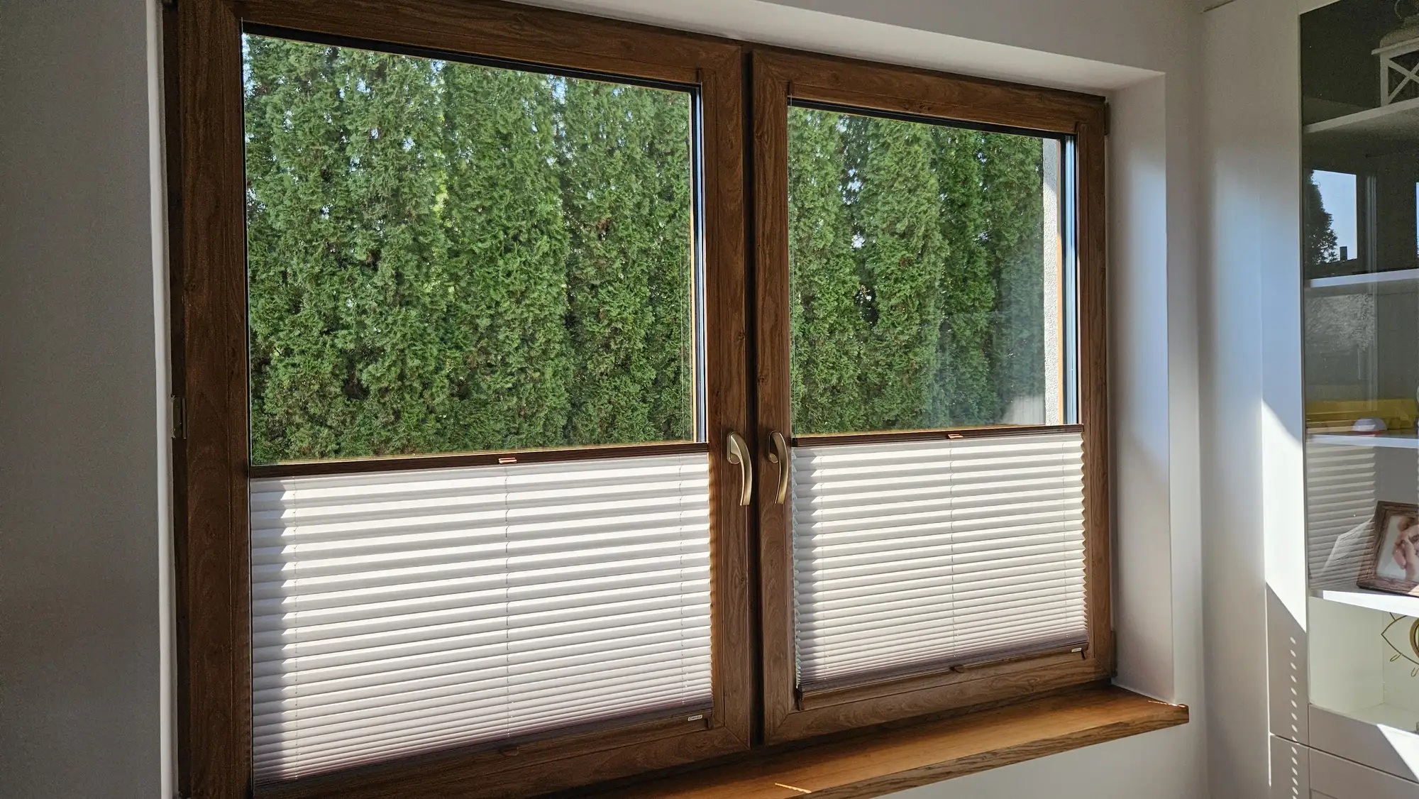 Jak mieszkańcy Tczewa radzą sobie z nadchodzącymi upałami? Sprawdzamy najskuteczniejsze rozwiązania do domów i mieszkań - Aktualności