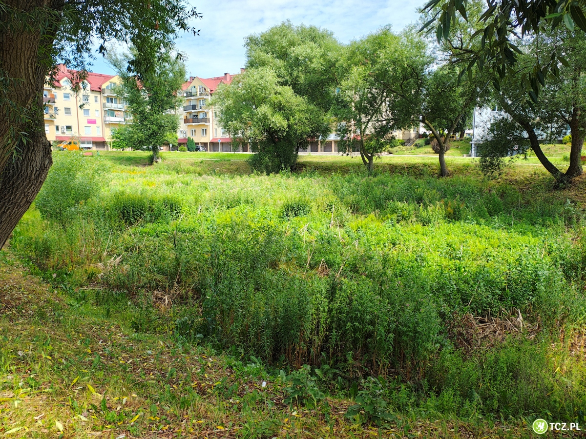 Jaka przyszłość stawku na osiedlu Bajkowym? - Aktualności