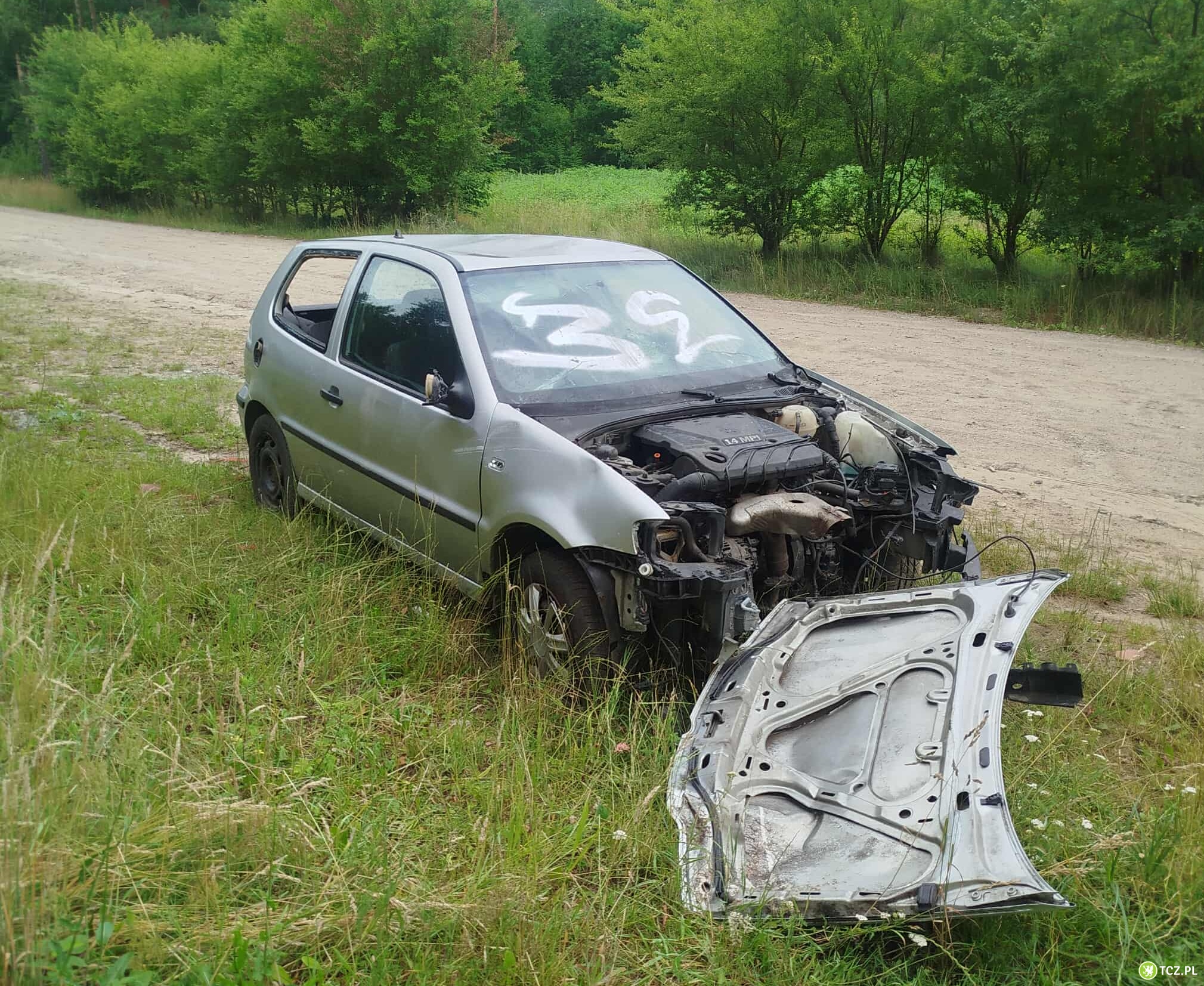 Wybrałem się na grzyby i znalazłem taki okaz - Tcz24