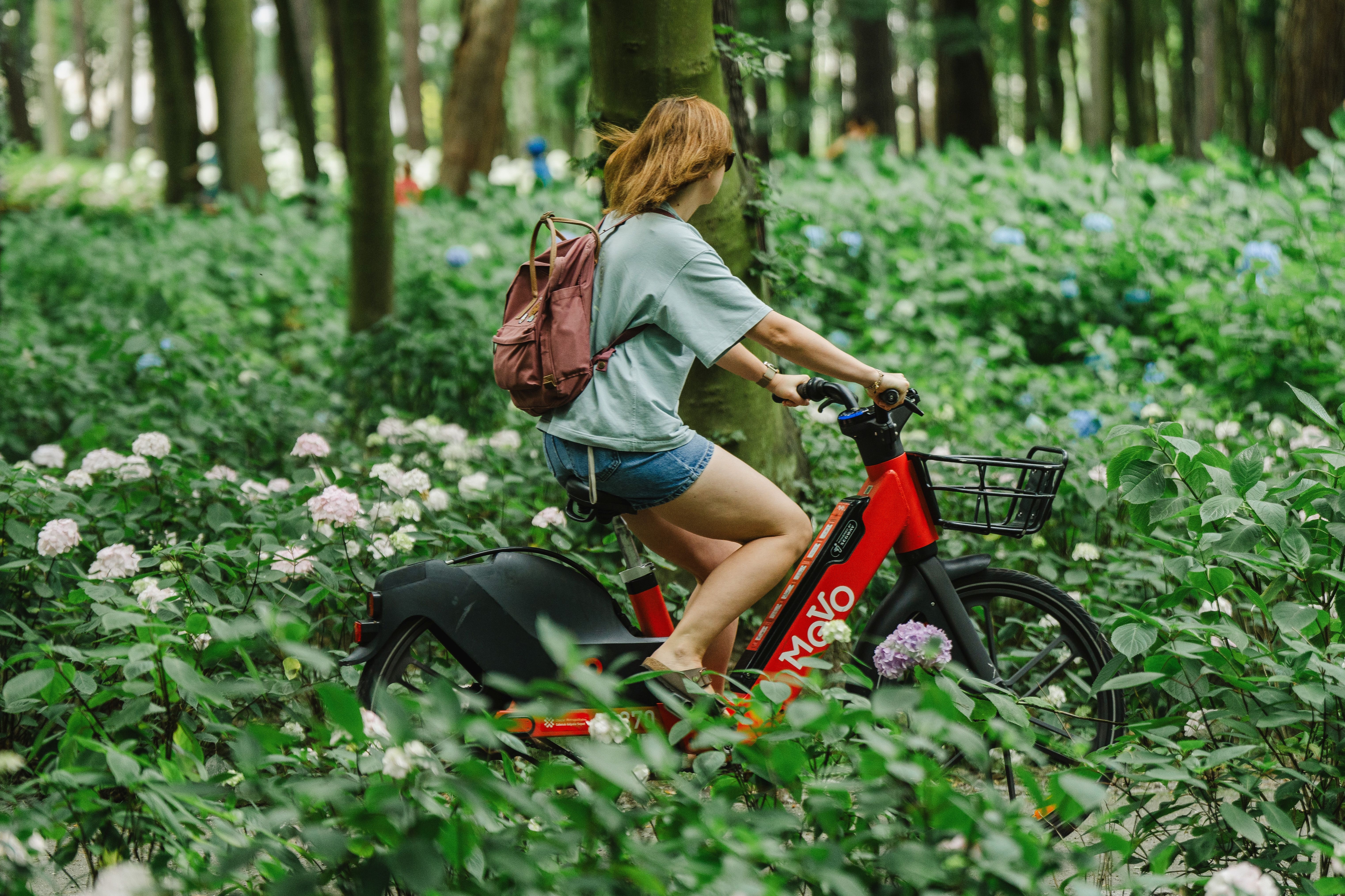 22 września - Dzień bez Samochodu z rowerem MEVO - Aktualności