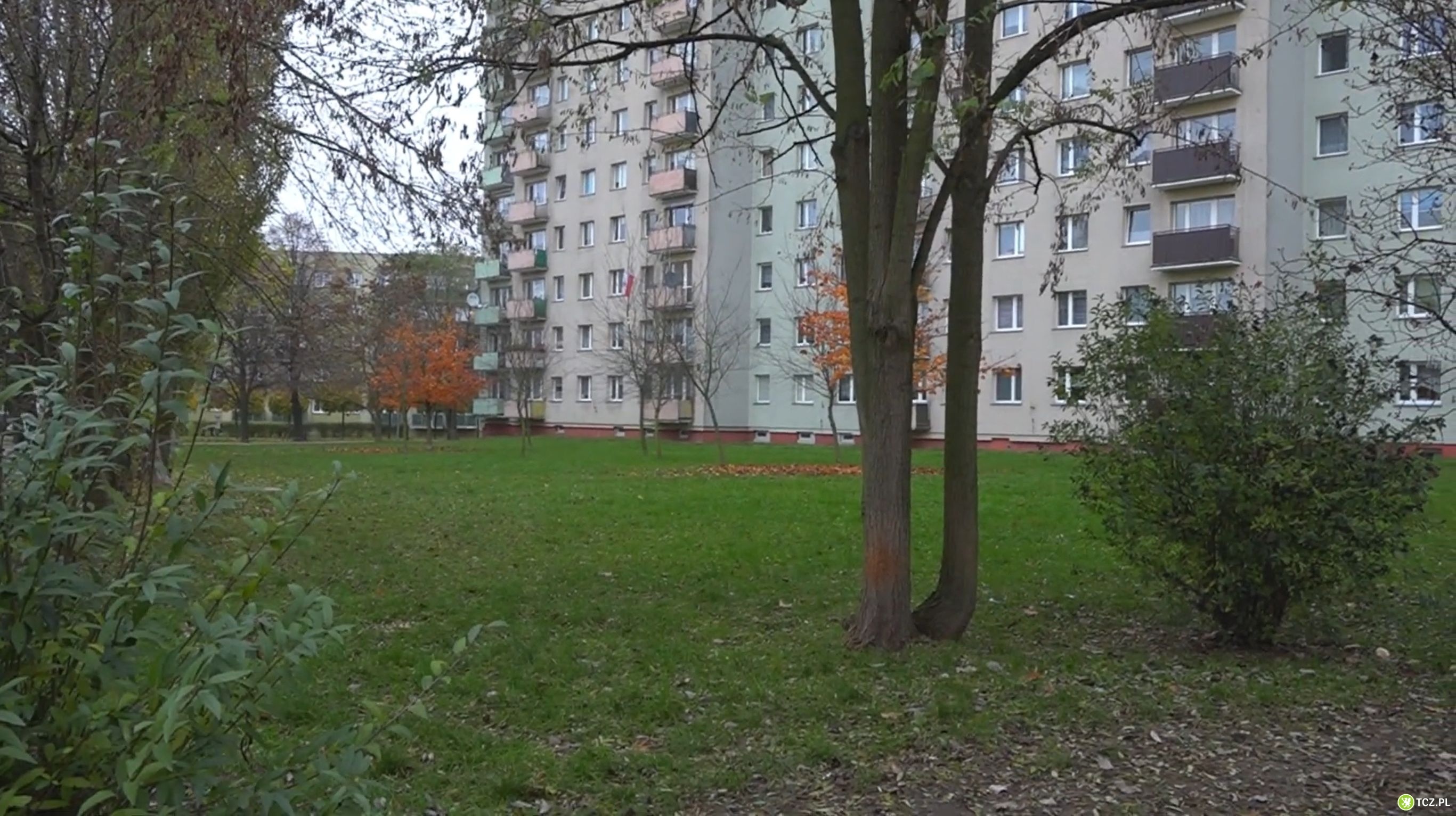 Przy czwórce powstanie park kieszonkowy - Aktualności