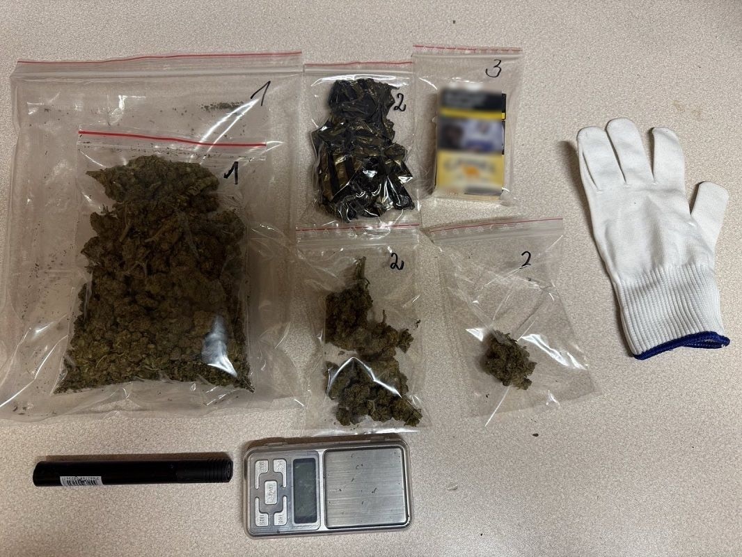 20-latek z zakazem prowadzenia wpadł w ręce policjantów. Marihuana w aucie i w mieszkaniu - Aktualności