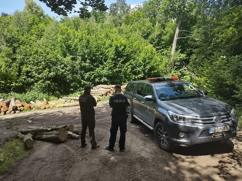 Policjant i strażnicy leśni pilnują porządku w lasach powiatu tczewskiego - Aktualności