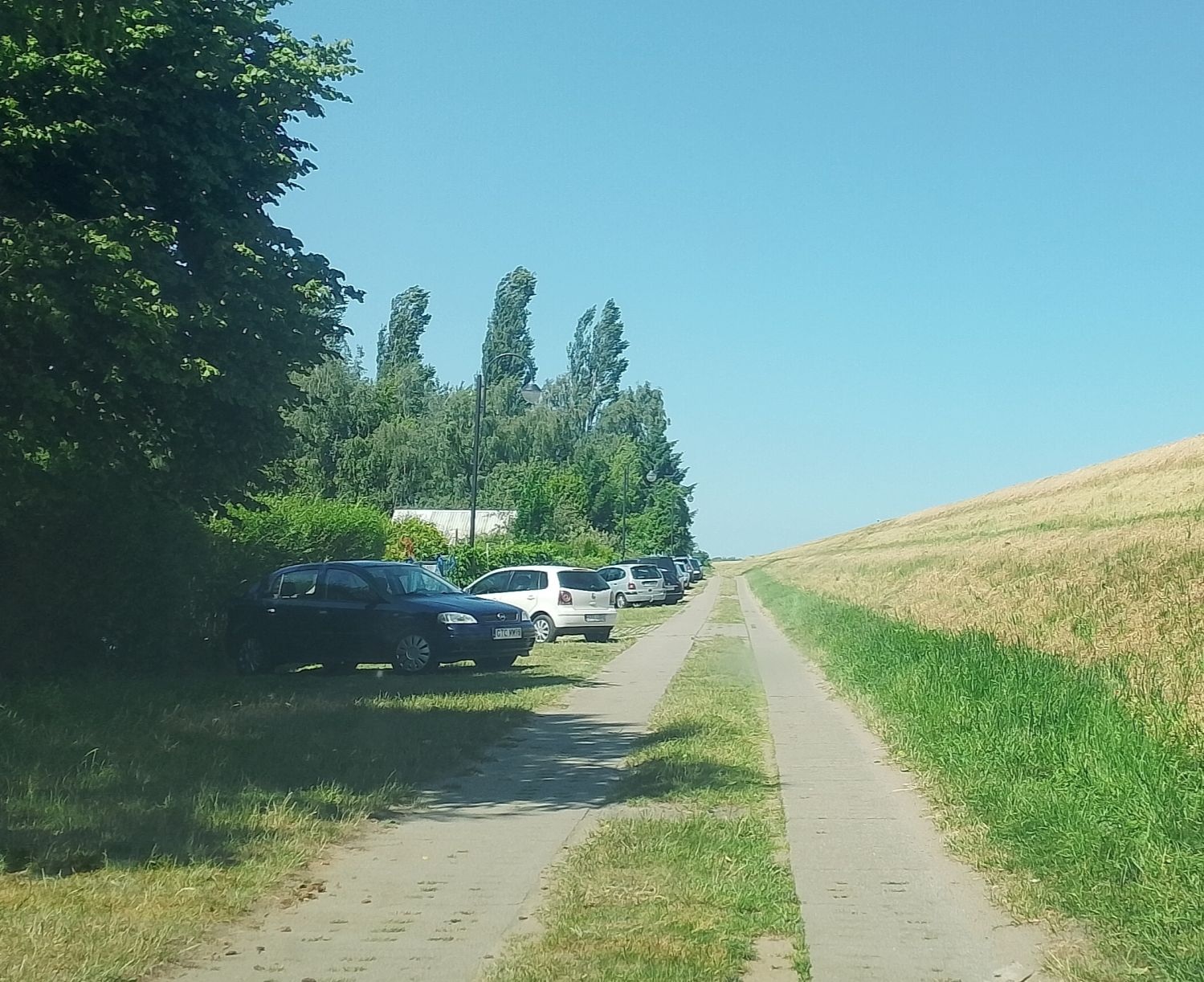 Proszę - ograniczcie prędkość w tym miejscu - Tcz24