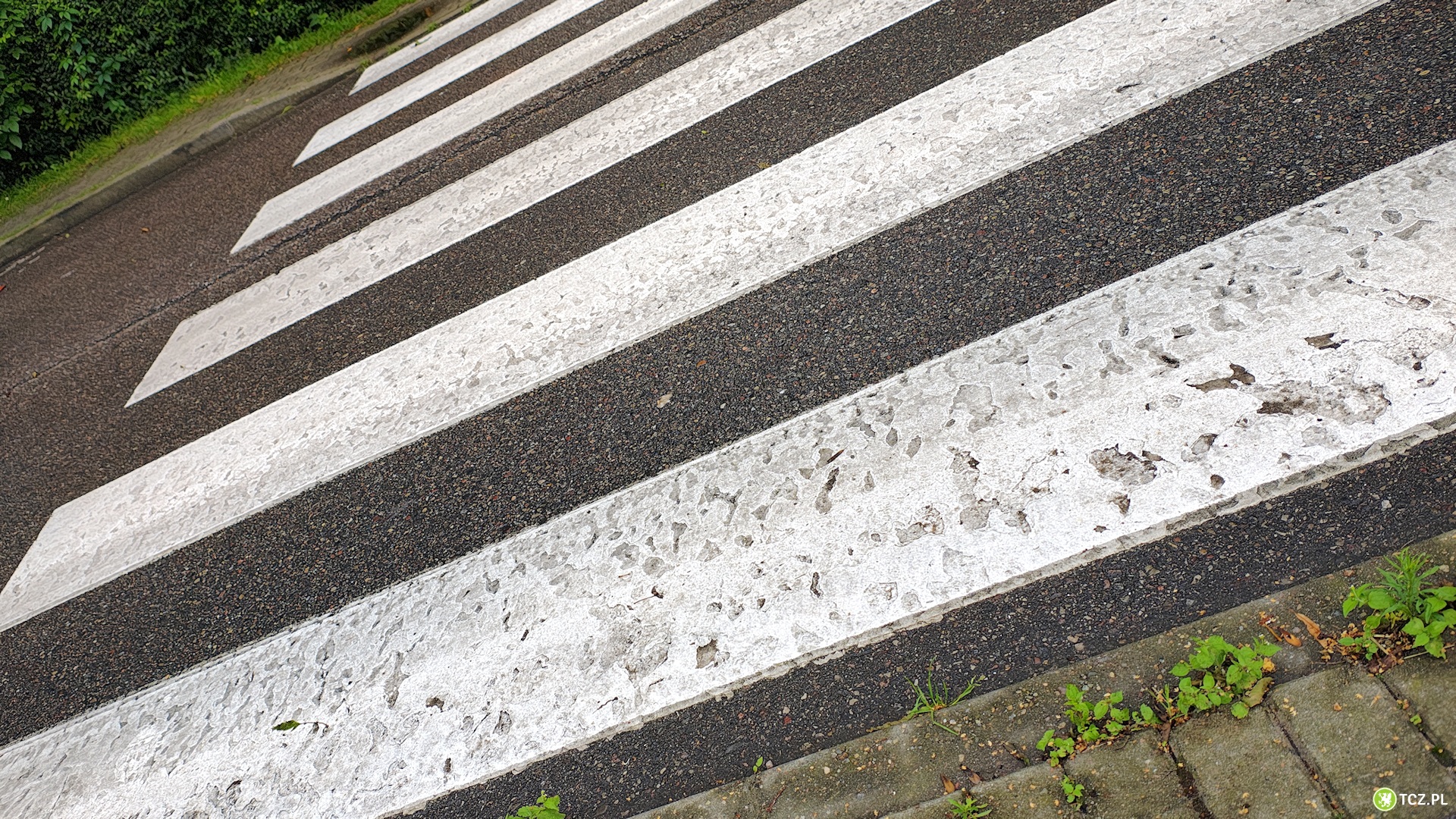 Potrącenie rowerzystki na przejściu dla pieszych w Tczewie. Policja apeluje o ostrożność! - Aktualności